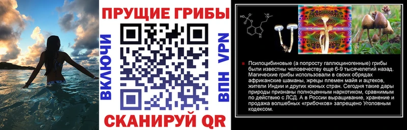 Псилоцибиновые грибы Cubensis  дарнет шоп  Луховицы 